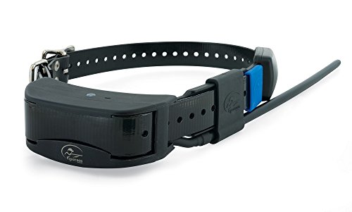 SportDOG Brand TEK Series 2.0 GPS + E-Collar Add-A-Dog Collar