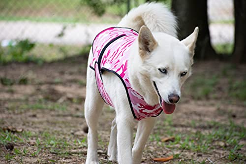 LUCOLOVE Dog Cooling Vest - 2-Layer Lightweight Performance - UPF50+ Full Coverage & Adjustable Fit for Small to Large Dogs (Pink, Small)