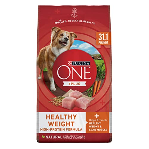 Purina ONE Plus Healthy Weight High-Protein Dog Food Dry Formula - 31.1 Lb. Bag