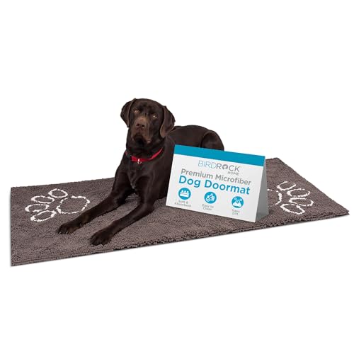 BIRDROCK Home Chenille Dog Doormat - Absorbent Surface to Keep Floors Clean, Non-Skid Bottom for Safety, Ultra-Soft & Durable, Ideal for Pets, Protects Floors from Dirt - 60 x 30, Grey