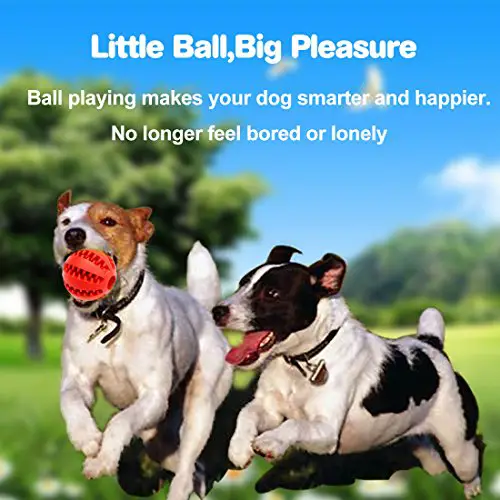 Idepet Dog Toy Ball, Nontoxic Bite Resistant Toy Ball for Pet Dogs Puppy Cat, Dog Pet Food Treat Feeder Chew Tooth Cleaning Ball Exercise Game IQ Training Ball(Red)