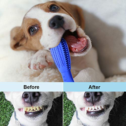 Fine-Pets Dog Chew Toothbrush - Dog Teeth Cleaning Toys - 2019 Upgraded Dog Dental Chew Toys Stick with Cleaning Brush - Safer Natural and Fresh Durable Pet DogToothbrush and Toothpaste for Puppies