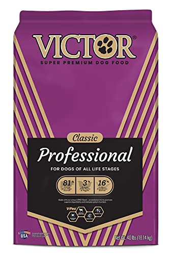 Victor Super Premium Dog Food – Professional Dry Dog Food with 26% Protein, Gluten Free - for High Energy and Active Dogs & Puppies, 40lbs