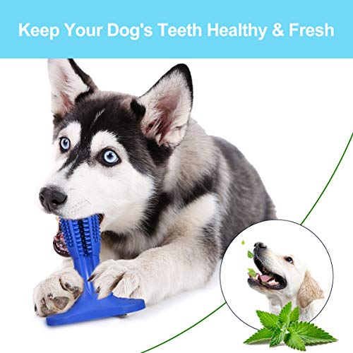 Fine-Pets Dog Chew Toothbrush - Dog Teeth Cleaning Toys - 2019 Upgraded Dog Dental Chew Toys Stick with Cleaning Brush - Safer Natural and Fresh Durable Pet DogToothbrush and Toothpaste for Puppies