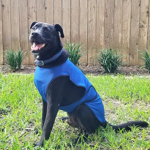 DOGZSTUFF Dog Cooling Vest. Lightweight Jacket with Evaporative Cool Microfiber Technology, UV Protection Shirt for Beach, Sizing for Small, Medium and Large Dogs (L, Dark Blue)