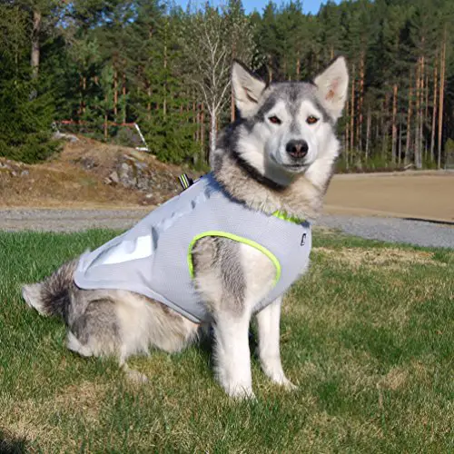 SGODA Dog Cooling Vest Harness Cooler Jacket Grey Green Large