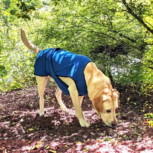 DOGZSTUFF Dog Cooling Vest. Lightweight Jacket with Evaporative Cool Microfiber Technology, UV Protection Shirt for Beach, Sizing for Small, Medium and Large Dogs (L, Dark Blue)
