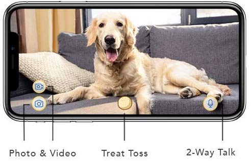 dog camera that shoots out treats