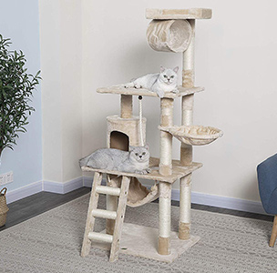 best cat condos for large cats