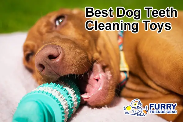 https://www.furryfriendsgear.com/wp-content/uploads/2020/02/Best-Dog-Teeth-Cleaning-Toys.jpg