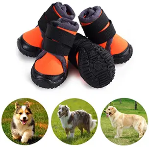 best rated dog shoes