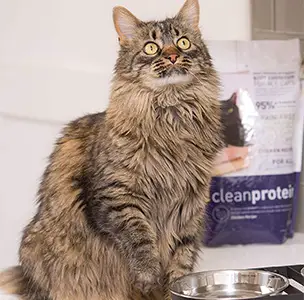 dr elsey's clean protein cat food