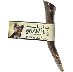 Pet Parents Gnawtlers – Premium Elk Antlers for Dogs