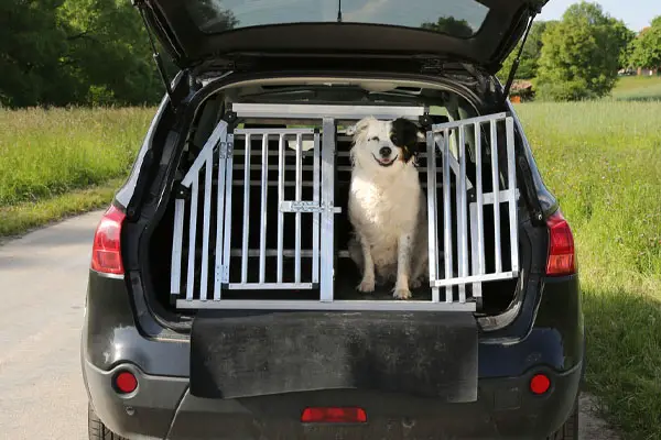 puppy crate for car