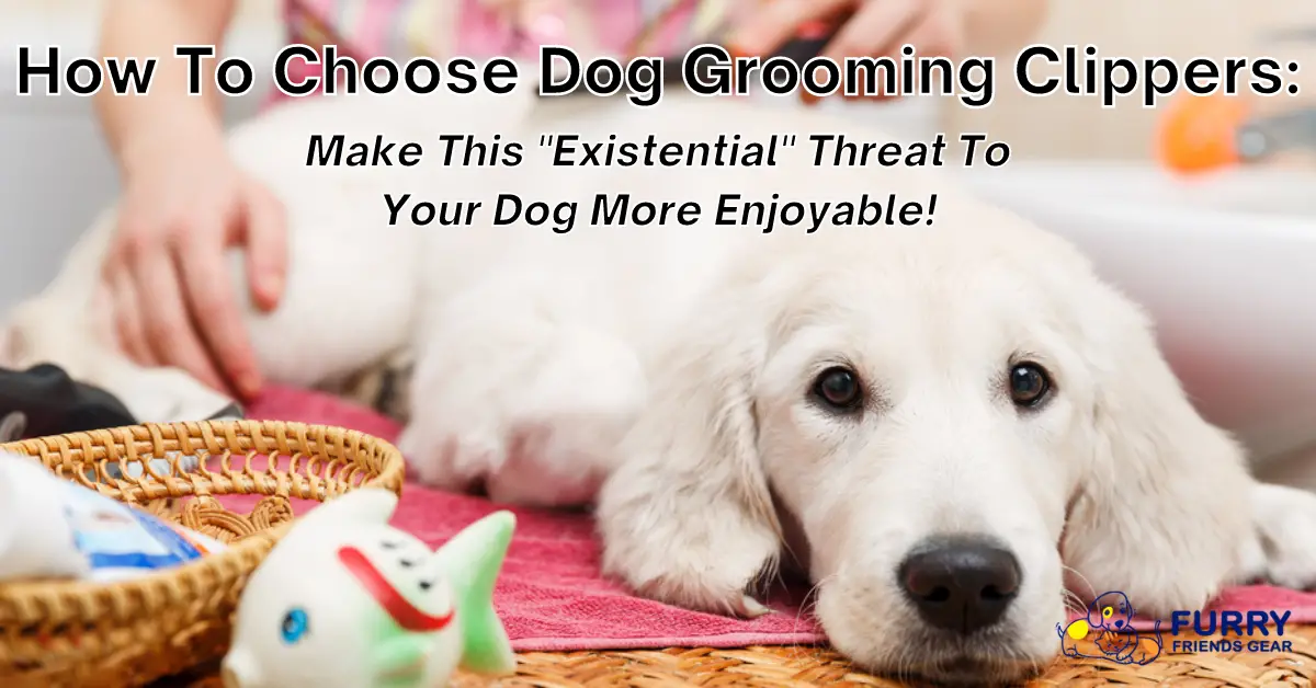 How To Choose Dog Grooming Clippers: 15 Factors To Consider